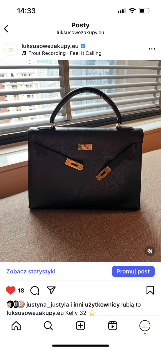 HERMES - obrazek 10