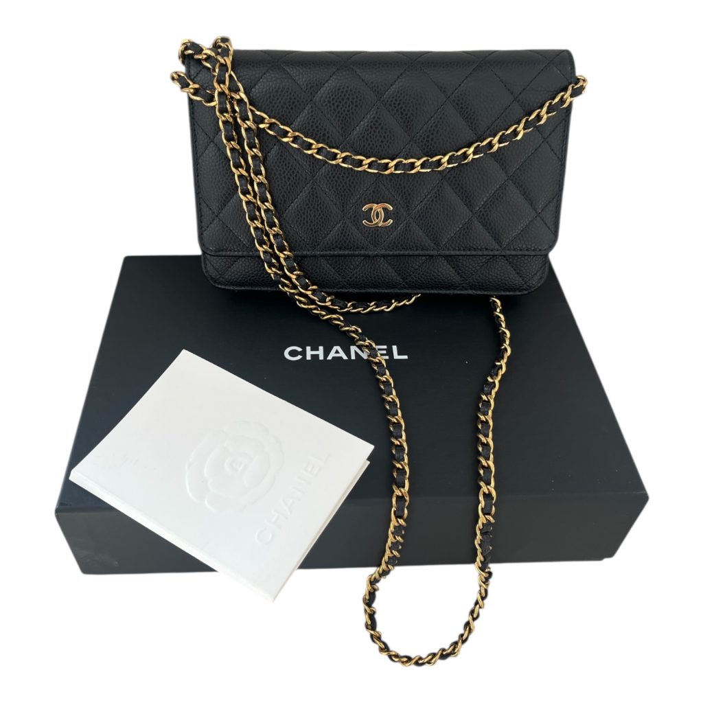 Photoroom_20260118_112525 Photoroom_20260118_112525